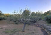 Terreno no urbanizable en venta en la España, el Perelló, ref: TR121073 foto