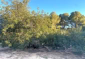 Terreno no urbanizable en venta en la España, el Perelló, ref: TR121073 foto
