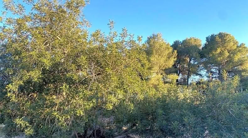 Tarragona - el Perelló - 4969m2