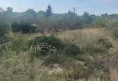 Suelo urbano en venta en la España, la Joncosa del Montmell, ref: TR146135 foto