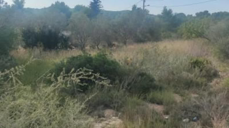 Tarragona - la Joncosa del Montmell - 604m2