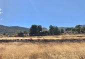 Non-developable land for sale on España, La Romana, ref: TR236953 photo