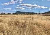 Non-developable land for sale on España, La Romana, ref: TR236953 photo