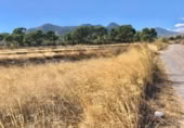 Non-developable land for sale on España, La Romana, ref: TR236953 photo