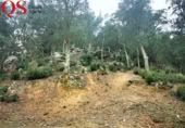 Urban land for sale on España, Llagostera, ref: TR120431 photo