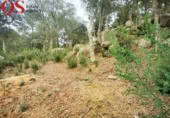 Urban land for sale on España, Llagostera, ref: TR120431 photo