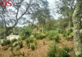Urban land for sale on España, Llagostera, ref: TR120431 photo
