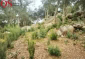 Urban land for sale on España, Llagostera, ref: TR120431 photo