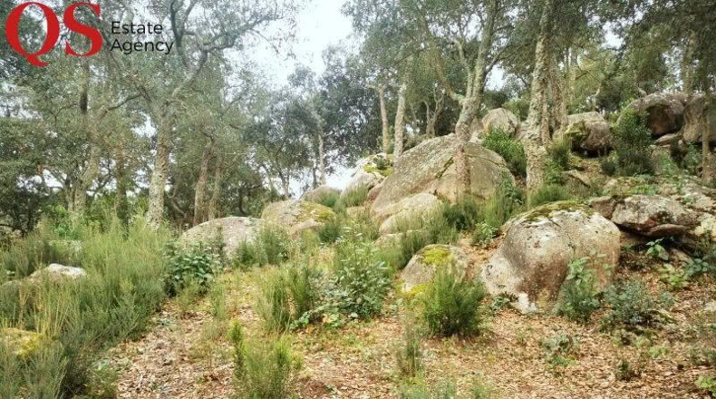 Gerona - Llagostera - 619m2
