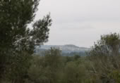 Land suitable for development for sale on España, Cervera del Maestre, ref: TR120749 photo