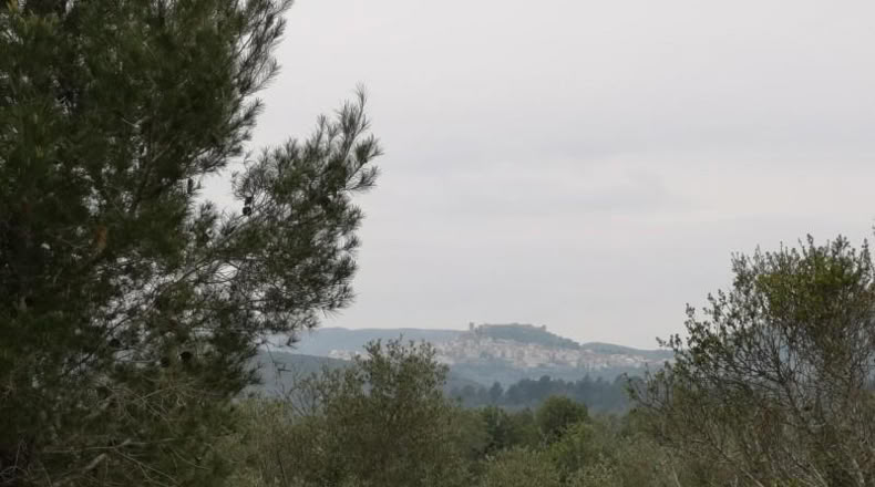 Castellón - Cervera del Maestrat - 15060m2
