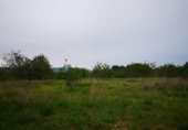 Land suitable for development for sale on España, Cervera del Maestre, ref: TR120749 photo