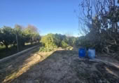 Terreno no urbanizable en venta en la España, Molina de Segura, ref: TR367864 foto