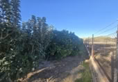 Terreno no urbanizable en venta en la España, Molina de Segura, ref: TR367864 foto