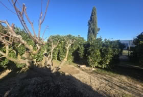 Foto 8