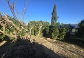 Terreno no urbanizable en venta en la España, Molina de Segura, ref: TR367864 foto