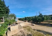 Terreny no urbanitzable en venda a la España, Alzira, ref.: TR356030 foto