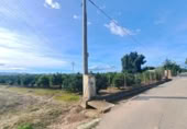 Terreny no urbanitzable en venda a la España, Alzira, ref.: TR356030 foto