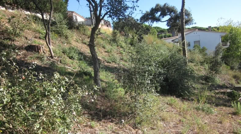 Málaga - Mijas - 450m2