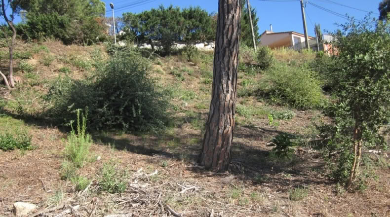 Málaga - Mijas - 450m2
