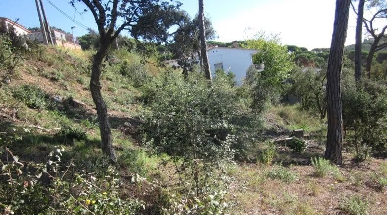 Málaga - Mijas - 450m2