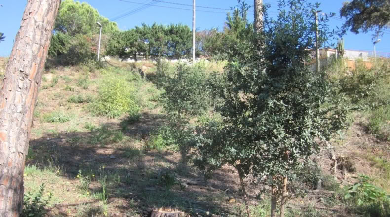 Málaga - Mijas - 450m2