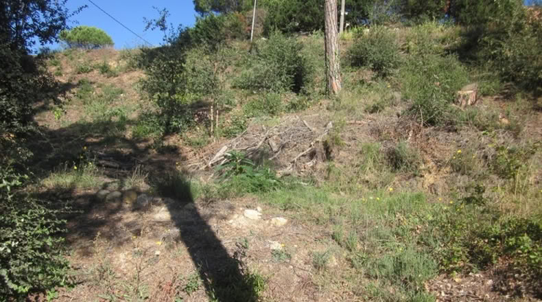 Málaga - Mijas - 450m2