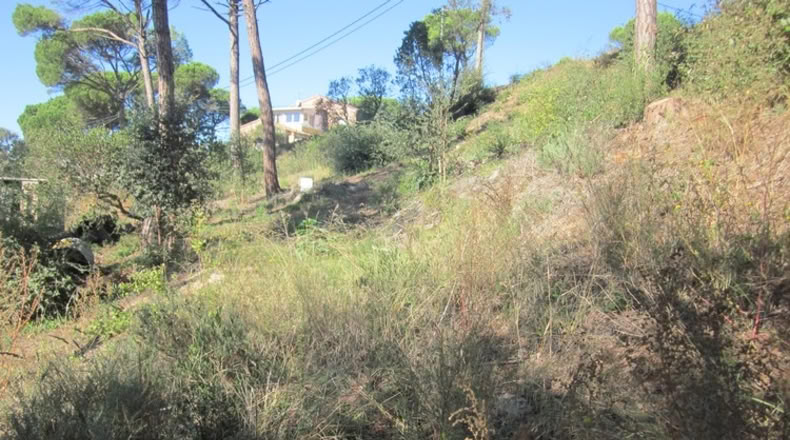 Málaga - Mijas - 450m2