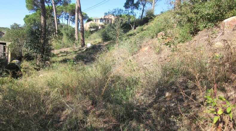 Málaga - Mijas - 450m2