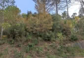 Terreny no urbanitzable en venda a la España, Monistrol de Calders, ref.: TR362498 foto