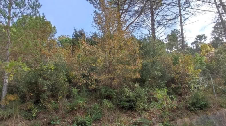 Barcelona - Monistrol de Calders - 589m2
