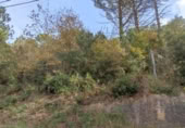 Terreny no urbanitzable en venda a la España, Monistrol de Calders, ref.: TR362498 foto