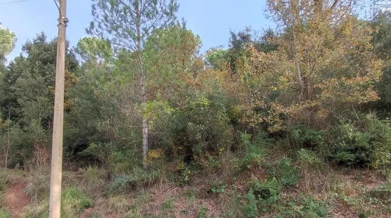 Barcelona - Monistrol de Calders - 589m2
