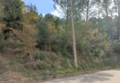 Terreny no urbanitzable en venda a la España, Monistrol de Calders, ref.: TR362498 foto