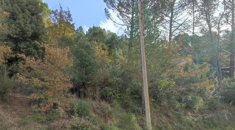 Barcelona - Monistrol de Calders - 589m2