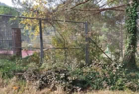Foto 11