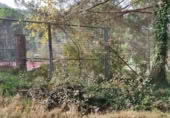 Terreny no urbanitzable en venda a la España, Monistrol de Calders, ref.: TR362498 foto