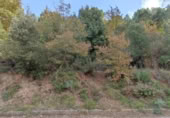 Terreny no urbanitzable en venda a la España, Monistrol de Calders, ref.: TR362498 foto