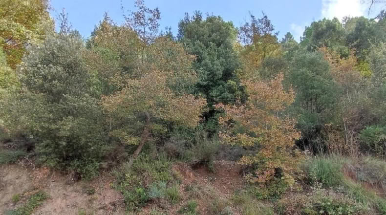 Barcelona - Monistrol de Calders - 589m2