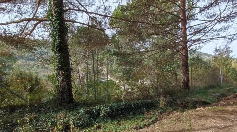 Barcelona - Monistrol de Calders - 589m2