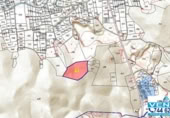 Non-developable land for sale on España, Oliva, ref: TR170826 photo