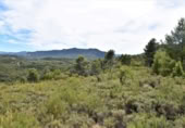 Xalet independent amb terreny en venda a la España, Vall-de-roures, ref.: TR312358 foto