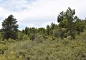 Xalet independent amb terreny en venda a la España, Vall-de-roures, ref.: TR312358 foto