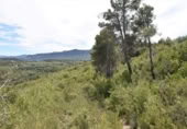 Xalet independent amb terreny en venda a la España, Vall-de-roures, ref.: TR312358 foto
