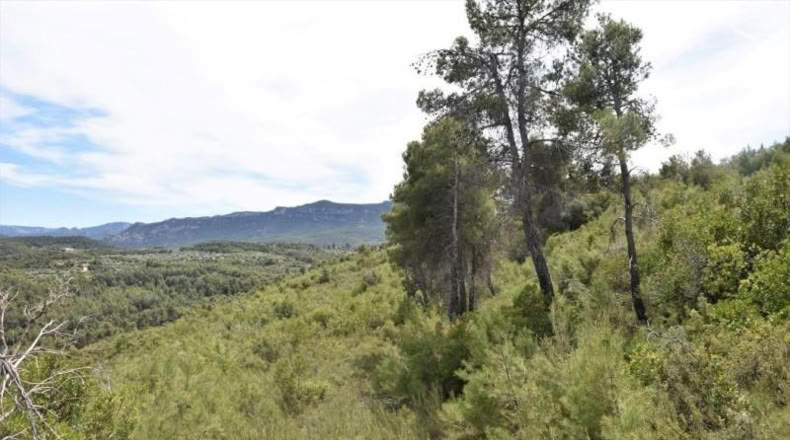 Теруэль - Valderrobres - 144700m2