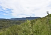 Xalet independent amb terreny en venda a la España, Vall-de-roures, ref.: TR312358 foto