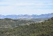 Xalet independent amb terreny en venda a la España, Vall-de-roures, ref.: TR312358 foto