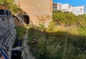 Terreny no urbanitzable en venda a la España, Tolox, ref.: TR126448 foto