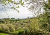 Дом с участком на продажу в городе Colunga Фото