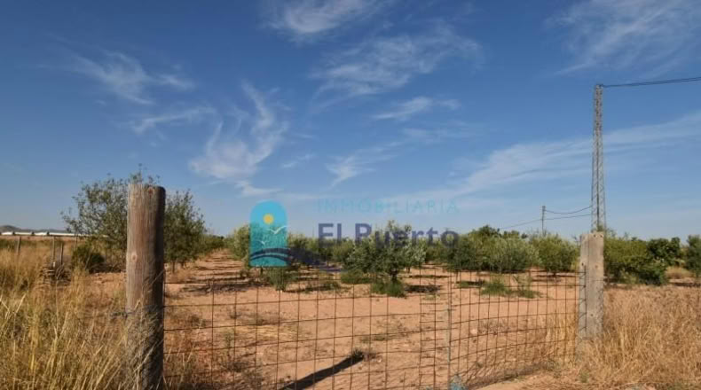 Murcia - Фуэнте Аламо де Мурсия - 15967m2